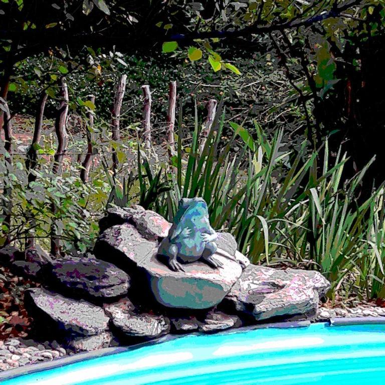 Croa La Rana Hotel Yacanto Buitenkant foto